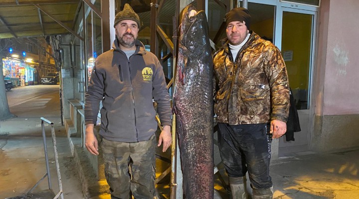 2 metrelik yayın balığı yakaladılar!