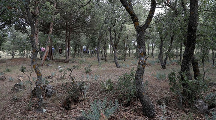 99 yıllık büyük acı... 83 Türk ün mezarı tespit edildi