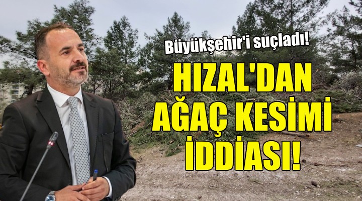 AK Partili Hızal dan ağaç kesimi suçlaması!