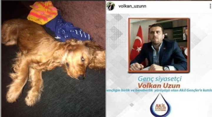 Ankara da vahşet! Köpeğe tecavüz ederek öldürdü!