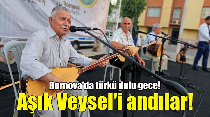 Aşık Veysel, Bornova da türkülerle anıldı!