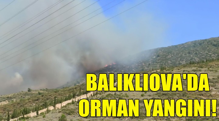 Balıklıova daki yangın devam ediyor!