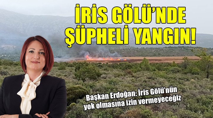 Başkan Erdoğan dan şüpheli yangın açıklaması