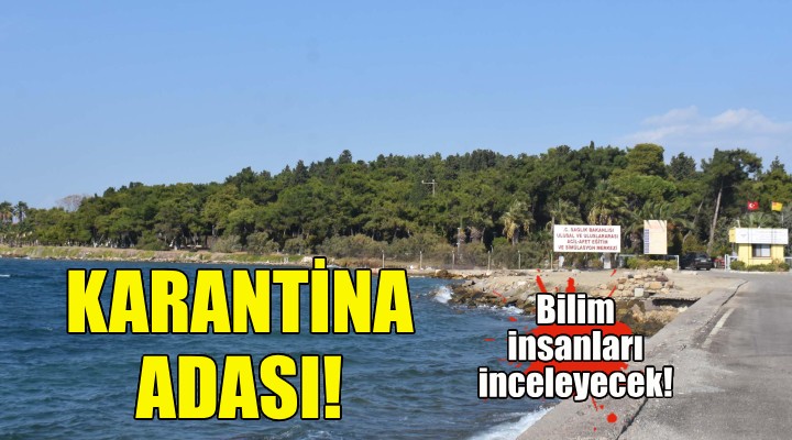 Bilim insanları Urla daki Karantina Adası nı araştıracak!
