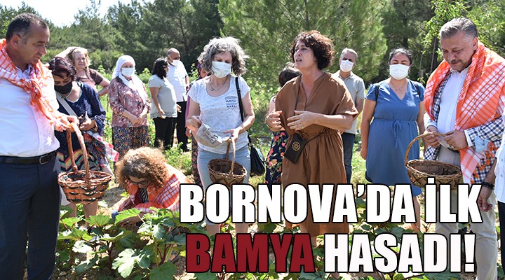 Bornova da ilk bamya hasadı Soyer den...