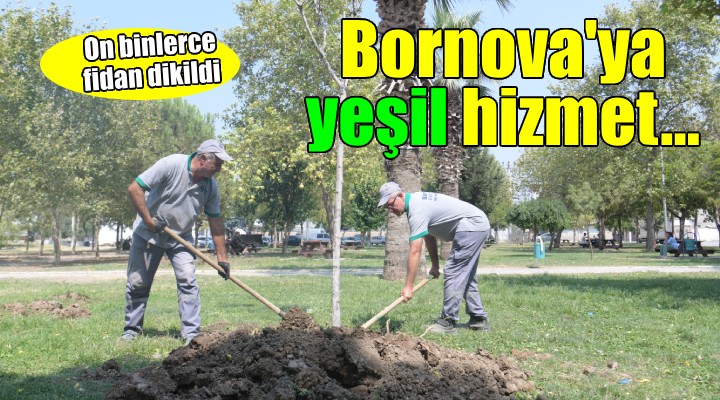 Bornova’ya yeşil hizmet