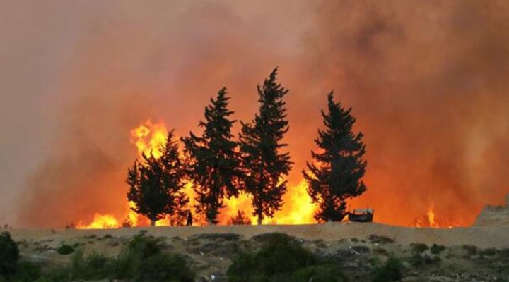 CHP li Alban dan  orman yangınları  uyarısı: Bu yaz sabotaj olayları artabilir