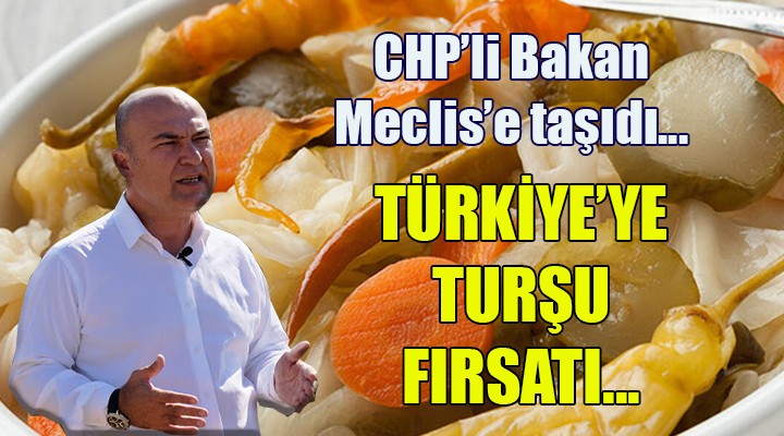 CHP li Bakan Meclis e taşıdı... Türkiye ye turşu fırsatı...
