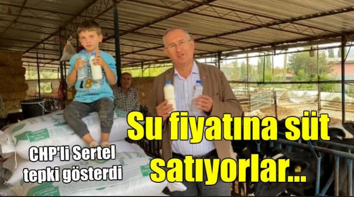 CHP li Sertel: Üretici su fiyatına süt satıyor!