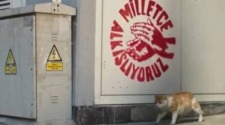 CHP’den trafolara kedi önlemleri!