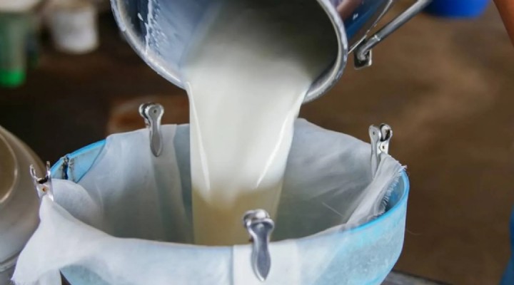 Çi? süt fiyat? 22,22 lira olarak aç?kland?