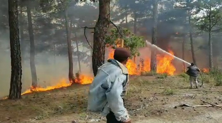 Denizli deki orman yangını 3 saatte söndürüldü!