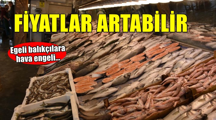 Egeli bal?kç?lara hava engeli... Fiyatlar artabilir!