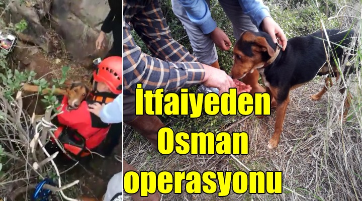 İzmir İtfaiyesi nden Osman operasyonu!