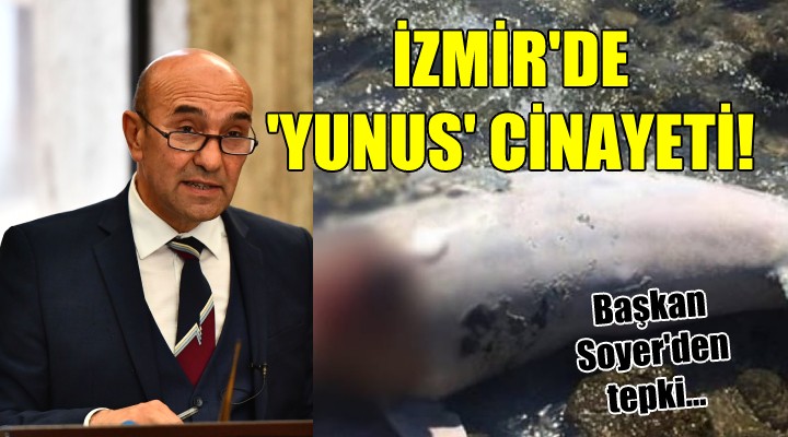 İzmir de  Yunus  cinayeti!