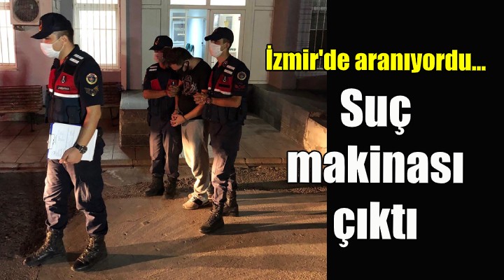 İzmir de aranan dolandırıcılık şüphelisi yakalandı