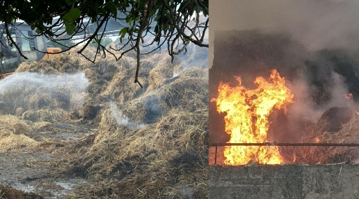 İzmir de besi çiftliğinde yangın...