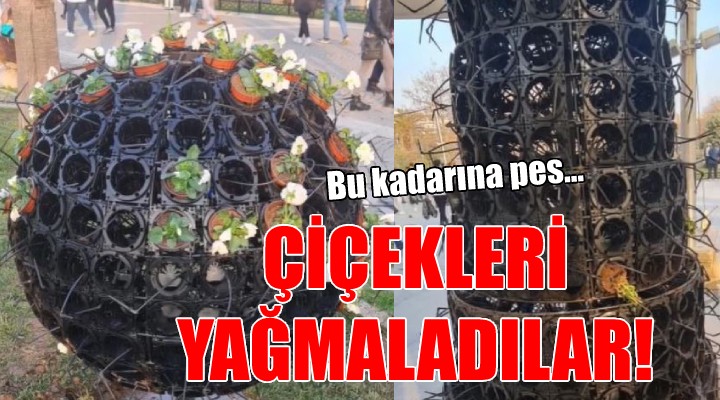 İzmir de çiçekleri yağmaladılar!