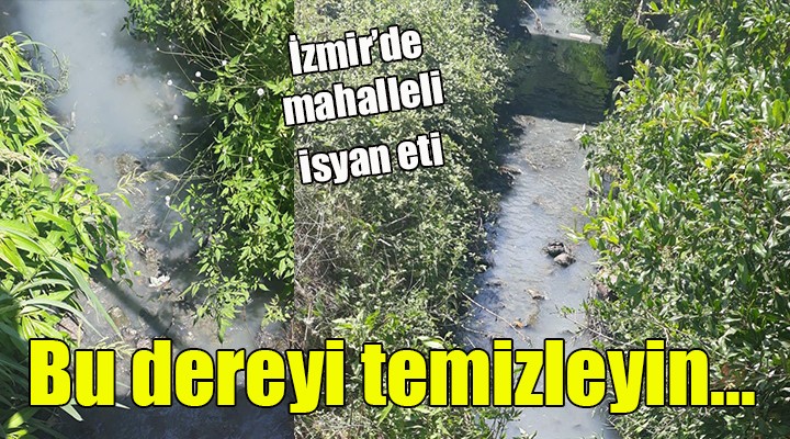 İzmir de dere kirliliği isyanı