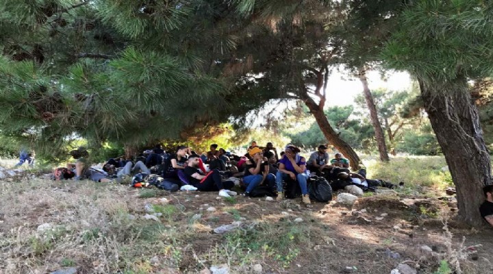 İzmir de göçmen kaçakçılığına 4 tutuklama