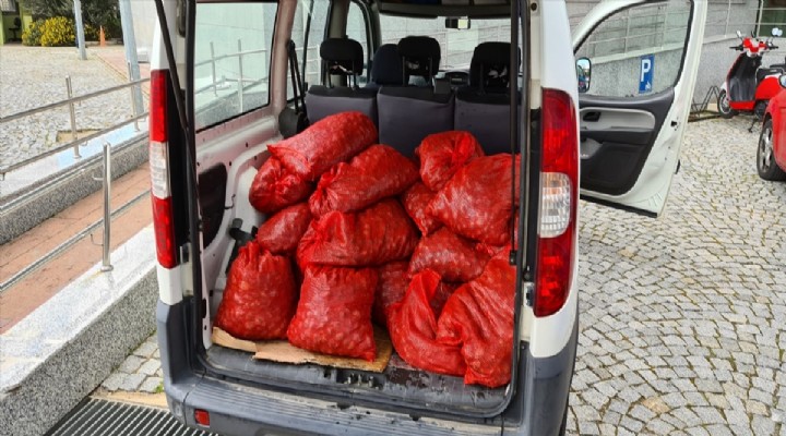 İzmir de kaçak avlanmış 400 kilogram midye ele geçirildi