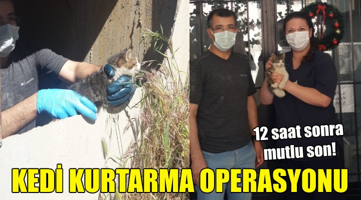 İzmir de kedi kurtarma operasyonu!