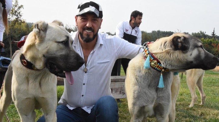 İzmir de köpek yarışması...