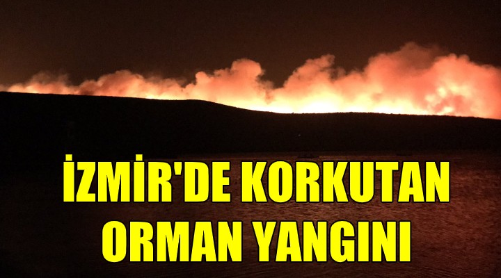 İzmir de korkutan yangın