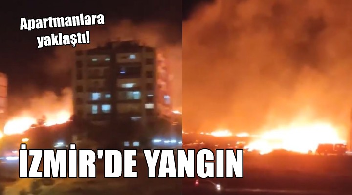 İzmir de yangın... Apartmanlara yaklaştı!