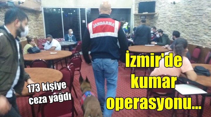 İzmir de kumar operasyonu... 173 kişiye ceza yağdı