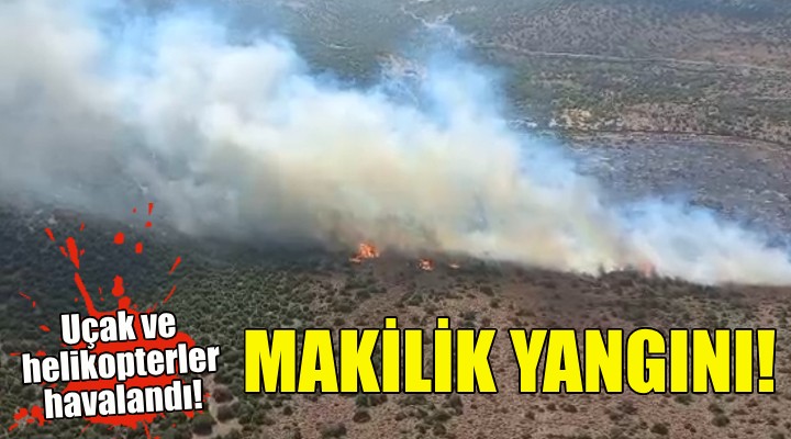 İzmir de makilik yangını!