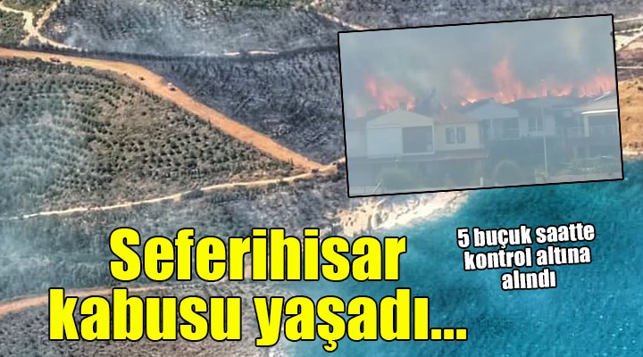İzmir de orman yangını...