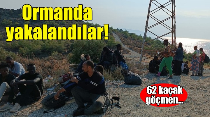 İzmir de ormanda 62 kaçak göçmen yakalandı!