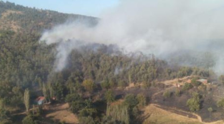 İzmir de ormanlık alanda yangın