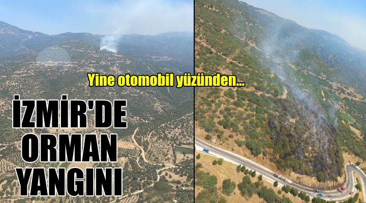 İzmir de otomobilde çıkan yangın ormana sıçradı