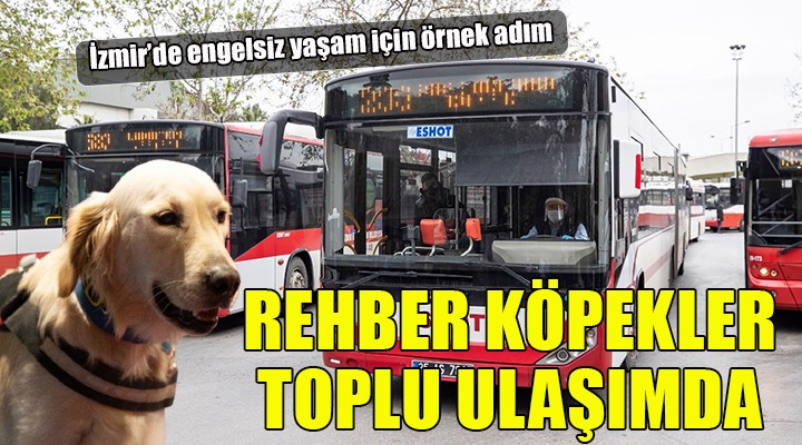 İzmir de rehber köpekler toplu ulaşımda!
