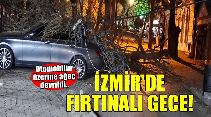 ?zmir'de ?iddetli rüzgar: Otomobilin üzerine a?aç devrildi