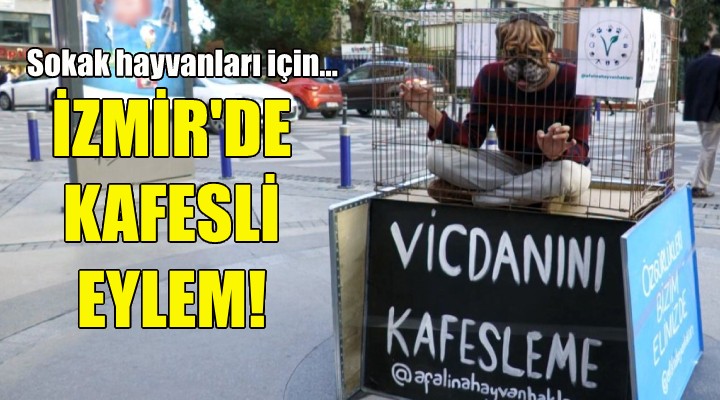 İzmir de sokak hayvanları için kafesli eylem!