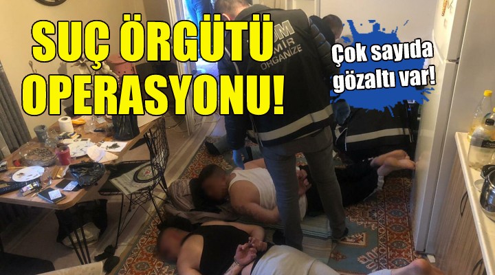 İzmir de suç örgütüne operasyon!