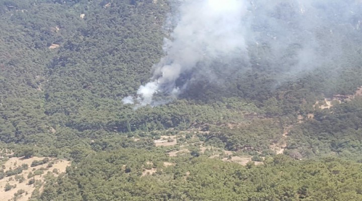İzmir de tabiat parkı yakınında orman yangını