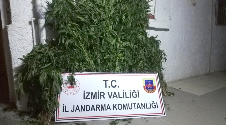İzmir de uyuşturucu operasyonu