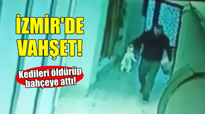 İzmir de vahşet... Kedileri öldürüp apartmanın bahçesine attı!