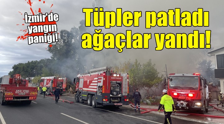 İzmir de yangın paniği... Restoran küle döndü!