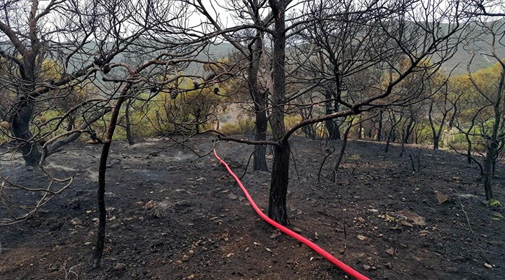 İzmir de yıldırım kabusu: 5 ayrı yangın çıktı