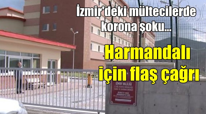 İzmir deki mültecilerde korona şoku... Harmandalı için flaş çağrı