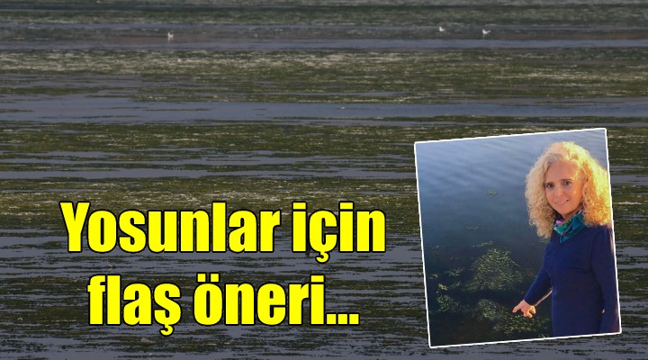 İzmir deki yosunlar için flaş öneri...