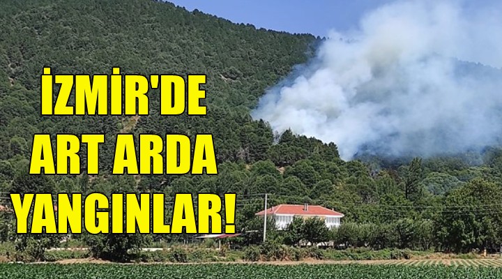 İzmir de art arda yangınlar!