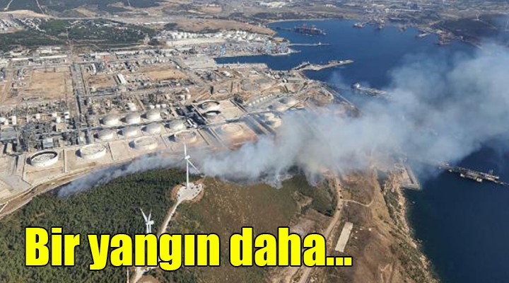 İzmir den peş peşe yangın haberleri! Şimdi de Petkim in yakınında yangın çıktı