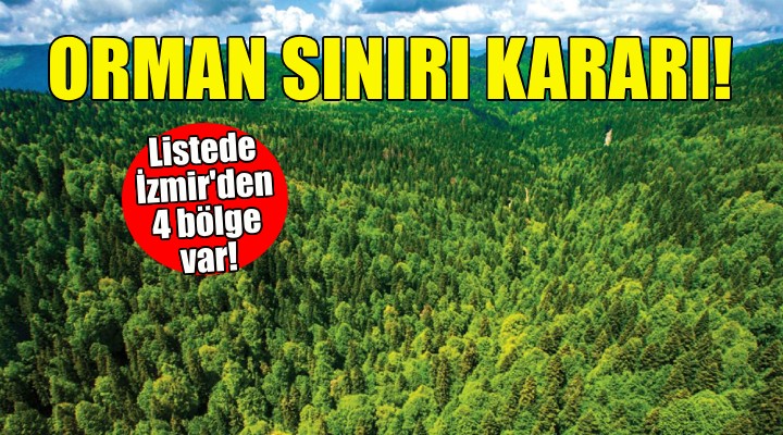İzmir in 4 bölgesi için orman sınırı kararı!
