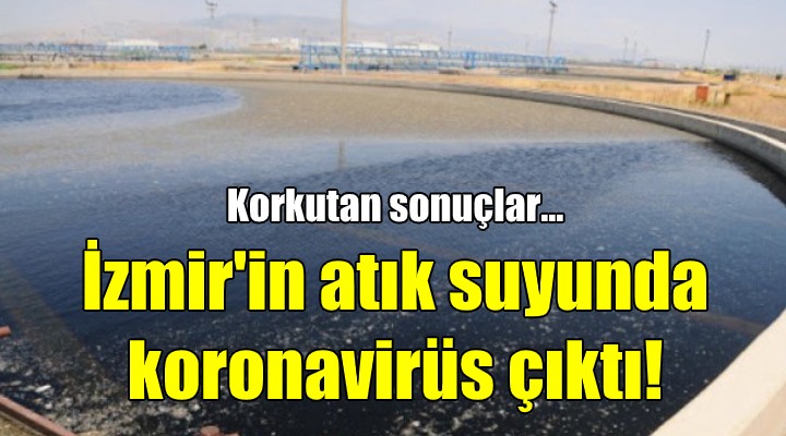 İzmir in atık suyunda koronavirüs çıktı!